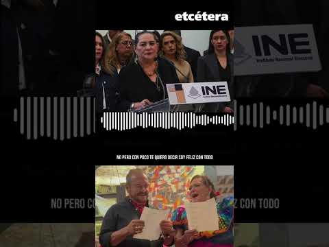 Revelan audio que confirma que Taddei y su proveedor son novios