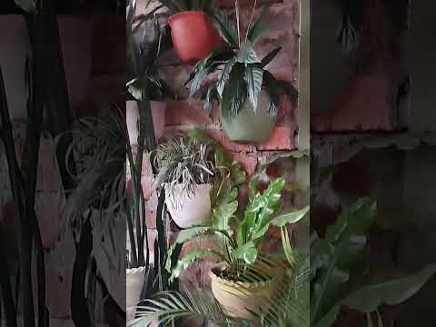 jardin Antioquia es uno de los pueblitos donde hay mucha diversión y variedad de gastronomía 10/10