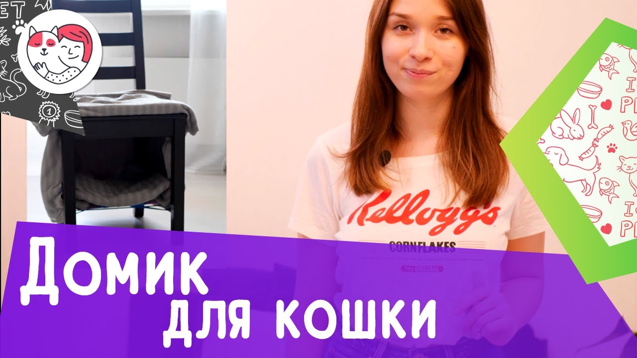 Как сделать домик для кошки своими руками: пошаговая инструкция