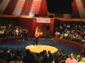 Clown Rim Dean Baterfly Circus
