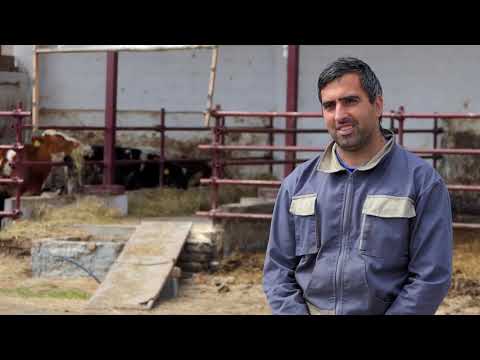 Biram selo ep. 84 28.04.2021. Jovica i Perica Putnik, Ilandža, govedarstvo, holštajn-frizijska rasa