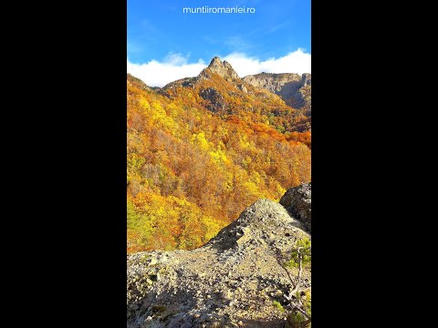 Toamna în Masivul Cozia: Traseul spre creastă de la Mănăstirea Turnu prin Muchia Vlădeasa