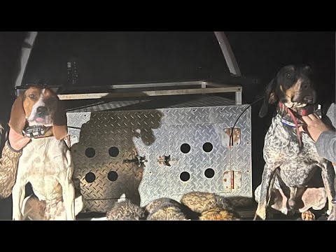 COON HUNTING: FINDING NEW SPOTS ON PUBLIC LAND!!