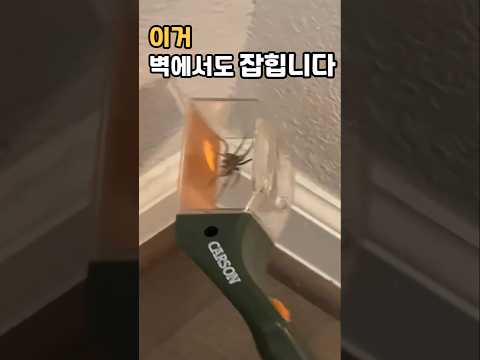 손 안 대고 벌레 잡는 역대급 꿀템?!