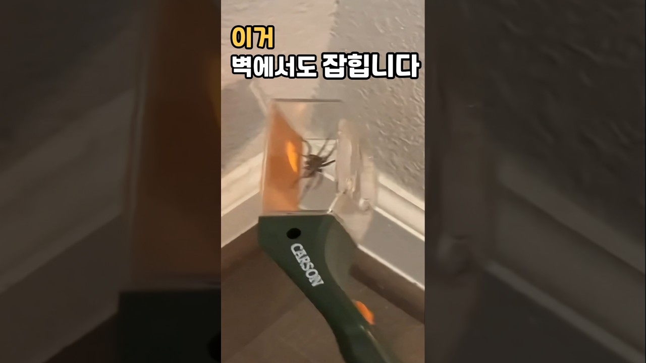 손 안 대고 벌레 잡는 역대급 꿀템?!