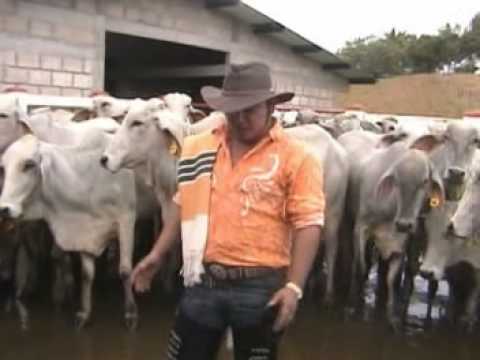 COMO BUEN CAQUETEÑO  ANTHONY ZAMBRANO