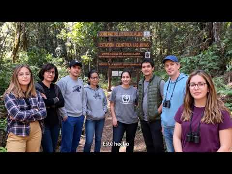 La Universidad en el siglo XXI