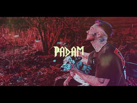 SickBRain - PADÁM