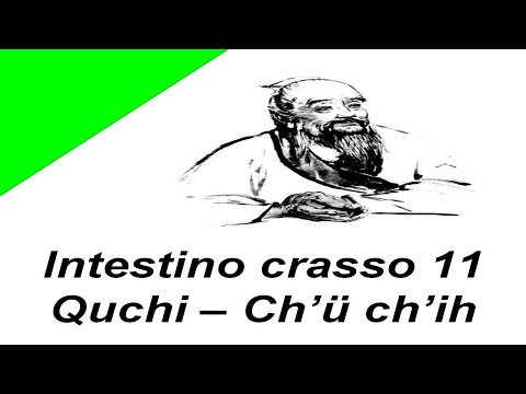 agopuntura, intestino crasso 11, ic 11, quchi, meridiano intestino crasso, agopuntura a roma