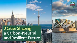 The Cities Shaping A Carbon-Neutral And Resilient Future