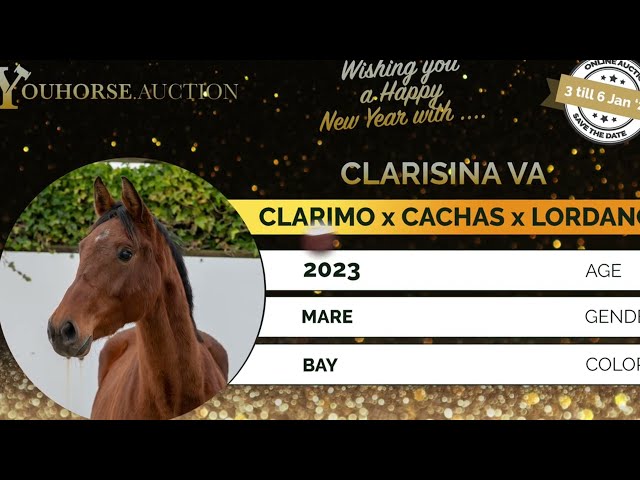 Clarisina VA