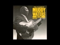Muddy Waters, Lonesome room blues - Edith de Ronde Muddy Waters, Lonesome room blues