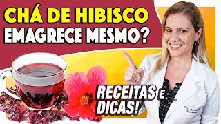 Chá de Hibisco Emagrece Mesmo? Como Tomar? [RECEITAS e DICAS]