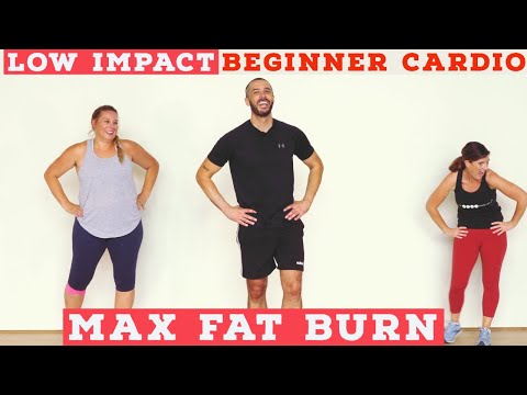 Fat burning Beginner LOW IMPACT home cardio workout - all standing!