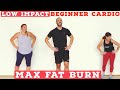 Fat burning Beginner LOW IMPACT home cardio workout - all standing!
