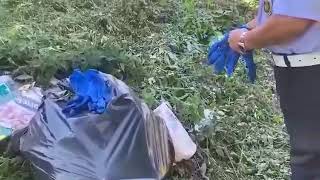 rifiuti-abbandonati-i-vigili-spiano-nei-sacchetti