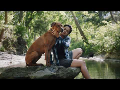 A Better Way to Feed Your Pet | Instinct Raw Pet Food