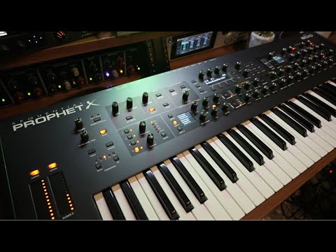 Still Underrated? Prophet X in 2025