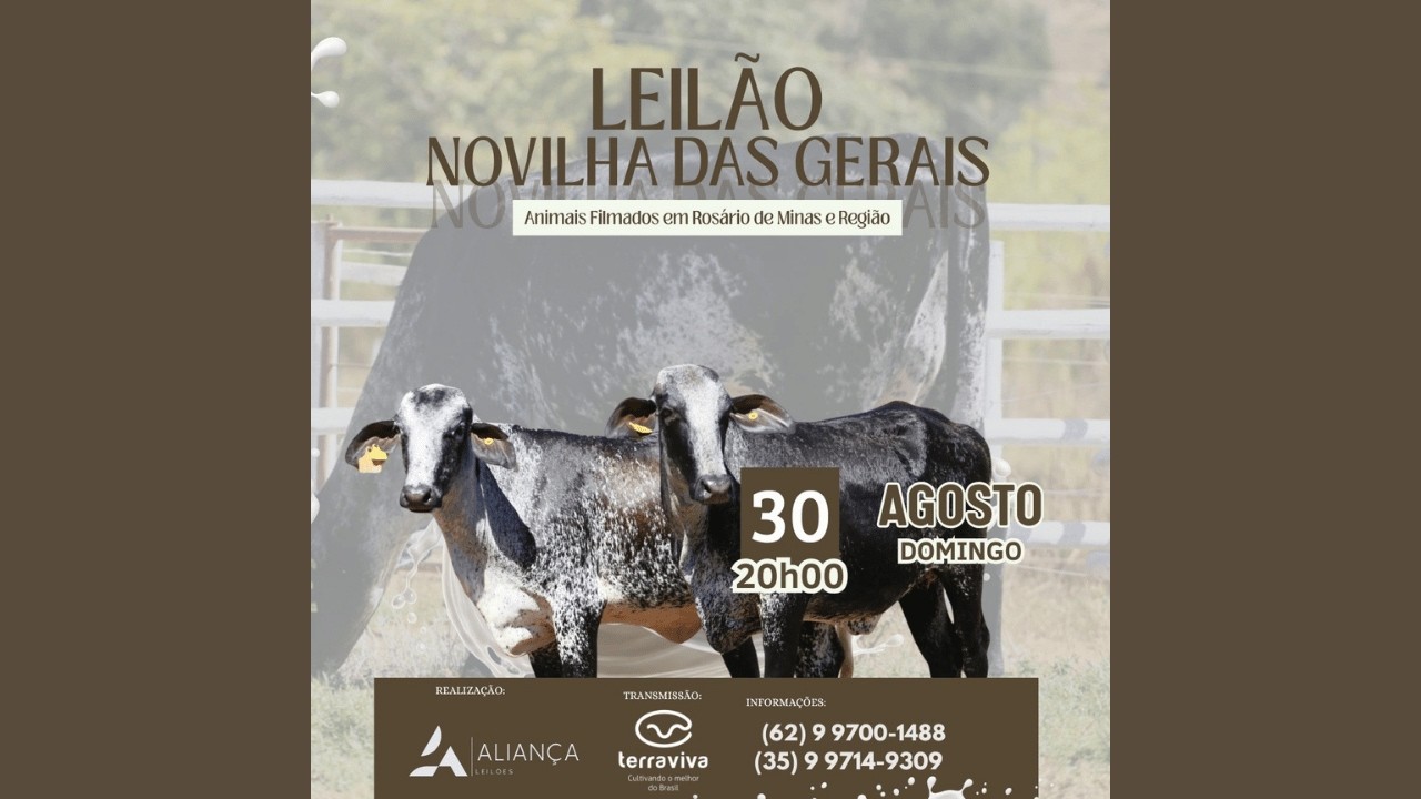 LEILÃO NOVILHA DAS GERAIS | 30/08/2026 – 20H