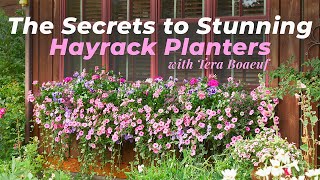 How To Plant Stunning Hayrack Planters