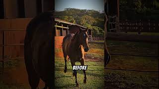 Mistakes you should never make with these animals #animals #animallife #animalfacts