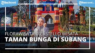 Mengenal Florawisata D'Castello, Destinasi Wisata Berupa Taman Bunga di Subang Milik Dewi Persik