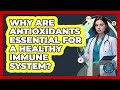Why Are Antioxidants Essential For A Healthy Immune System All About The Immune System