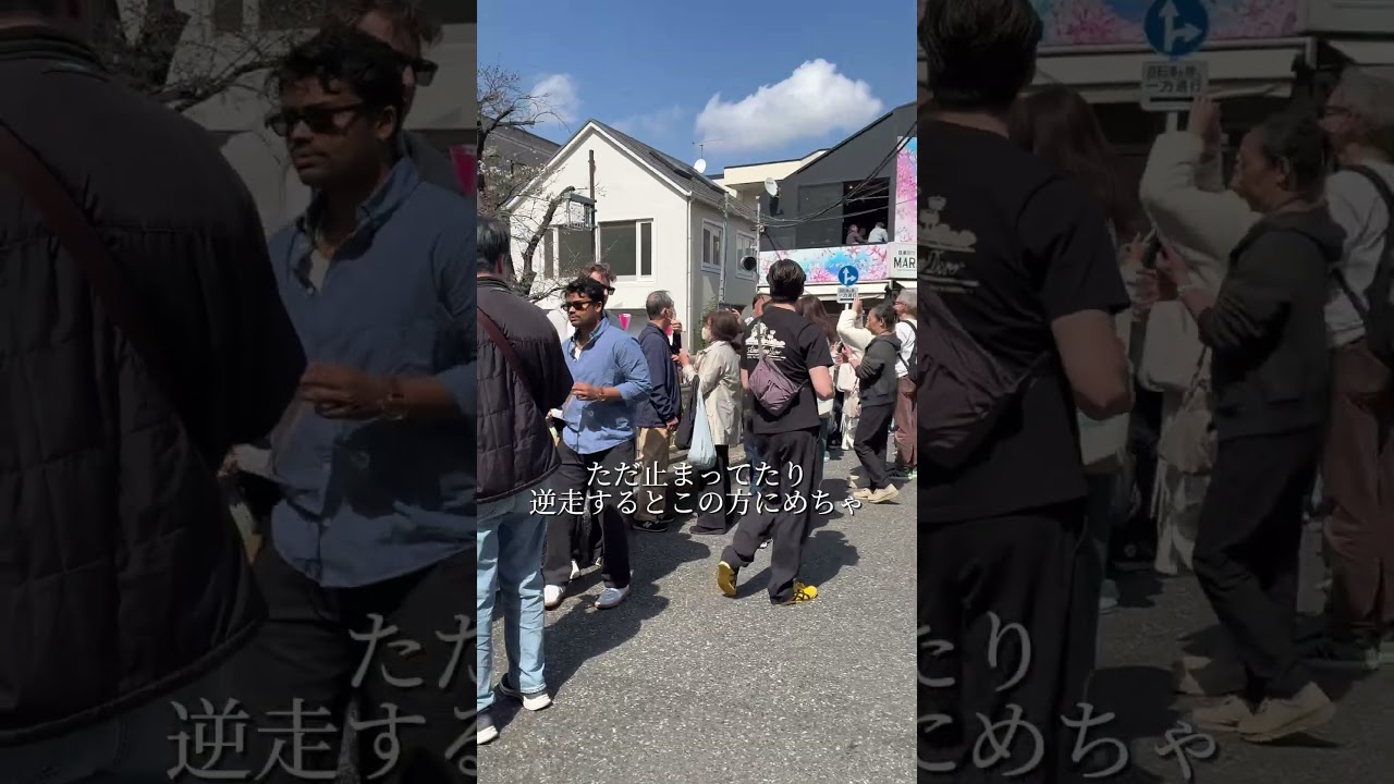 中目黒で花見する方へ #中目黒 #花見 #お花見 #桜並木 #中目黒グルメ