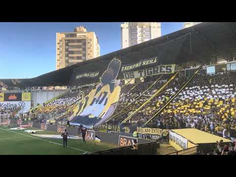 "MOSAICO 3D DA TORCIDA DO CRICIÚMA! ESPETACULAR," Barra: Os Tigres • Club: Criciúma