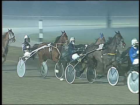 Trotto 03/01/2017 - 8ª corsa