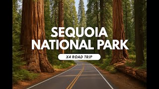 Sequoia National Park - A x4 road trip time lapse to Sequoia and Fresno