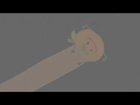 (REQUESTED) TROC5 C4 in G Major 619