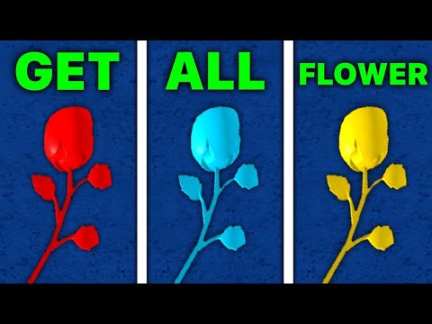All Flower Locations to get Race V2 - Blox Fruits | 2025!