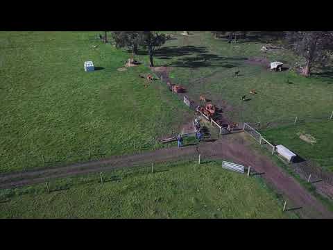 Organic farm transition eased by power probiotics – Daviesway Australia