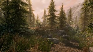The Elder Scrolls V: Skyrim Special Edition Прохождение На Русском — НОВАЯ ГРАФИКА!