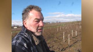 preview picture of video 'La taille de la vigne en Beaujolais'