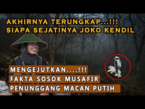 Video 176