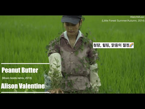 [리틀 포레스트] 청량,힐링,맑음🌈 : Alison Valentine - Peanut Butter (Moon boots Remix) [가사/해석/Lyrics]