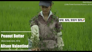 [리틀 포레스트] 청량,힐링,맑음🌈 : Alison Valentine - Peanut Butter (Moon boots Remix) [가사/해석/Lyrics]