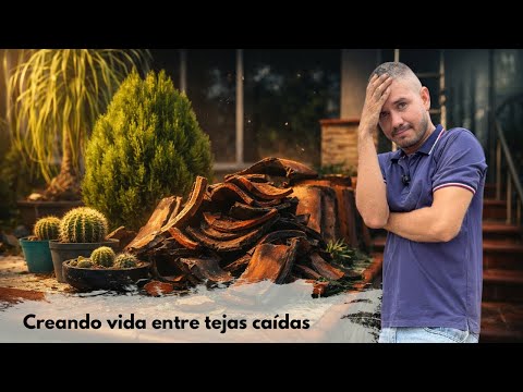 The renovations started and I'M FEARING FOR MY PLANTS. I did this for the stress.