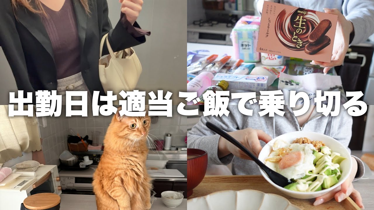 適当ご飯で乗り切る、出勤もある1週間￤ウェル活購入品