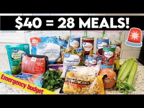 🚨6 Meals for $40! Meal Prep for Busy (and Broke) Weeks