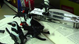 Slouching Towards Bethlehem ("The Second Coming," by W.B. Yeats)