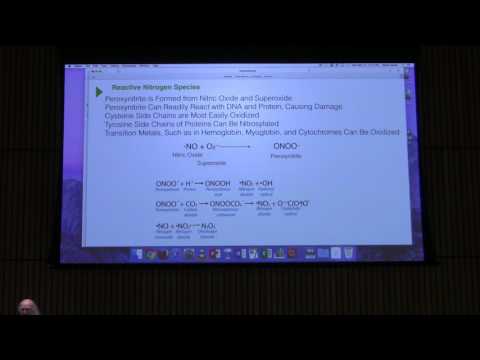 Nitrogen Metabolism II - Kevin Ahern's BB 451 Lecture #52  2017