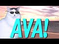 HAPPY BIRTHDAY AVA EPIC CAT Happy Birthday Song