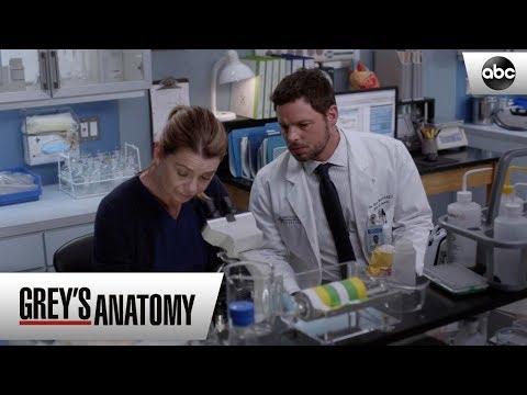 A Baby in a Bag - Grey's Anatomy Season 15 Episode 16