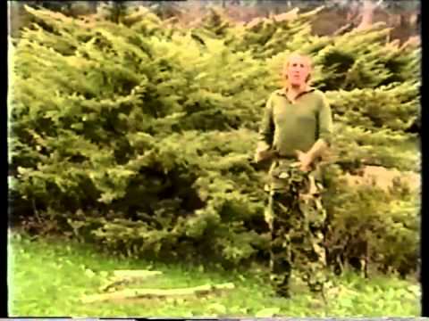 Лофті Вайсмен - відео обкладинка