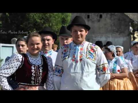 Vladimir Hrasko - Ja te pjesmom zovem