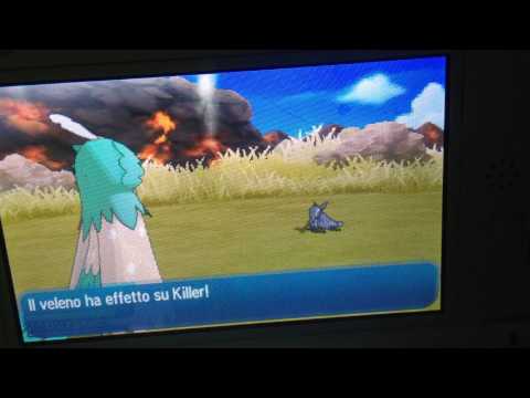 SALANDIT FEMMINA PRIMO COLPO