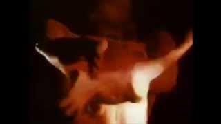 The GOASTT (The Ghost of a Saber Tooth Tiger) - Last Call